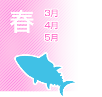 春(3月~5月) 春(3月~5月)