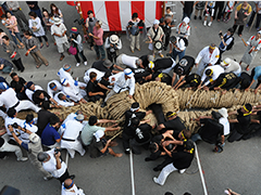 大綱引き 大綱引き