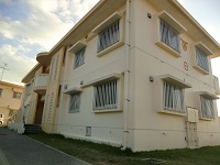 辺名地団地B棟