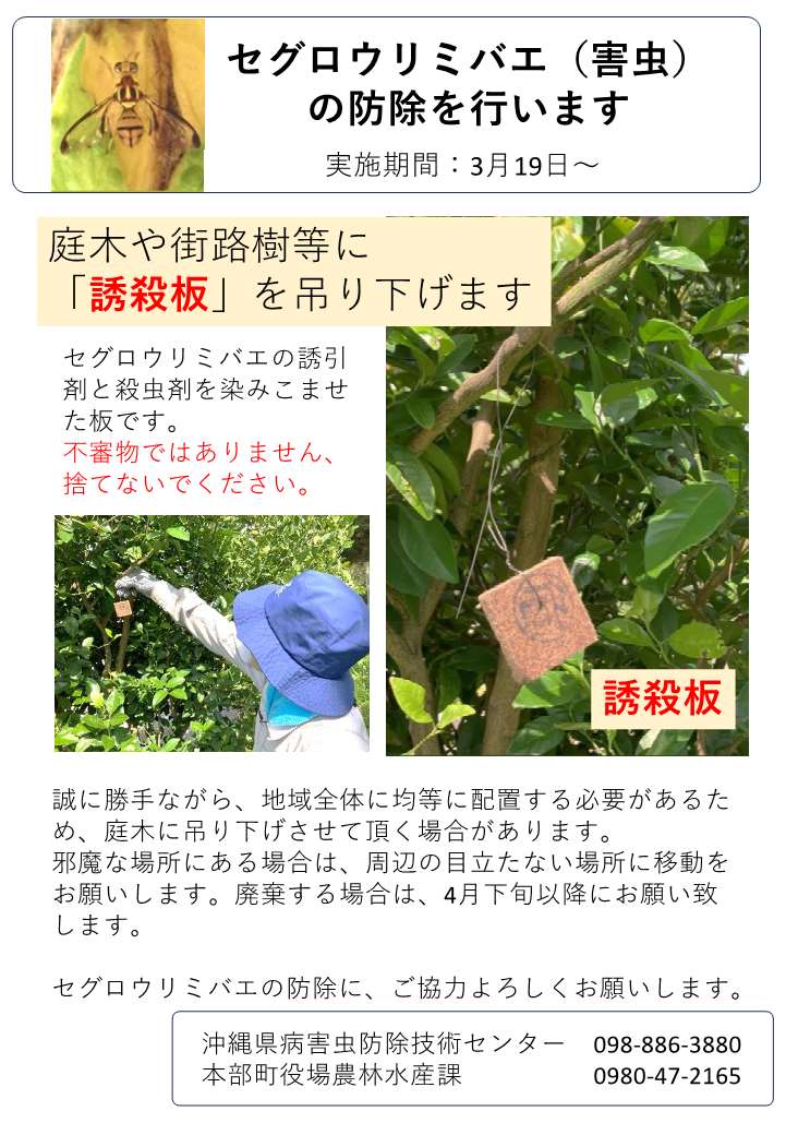 テックス板