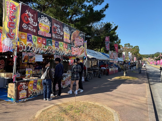 桜桃様　確認ページ 第47回 もとぶ八重岳桜まつり が開催されます｜【公式】 MAGACHABARU