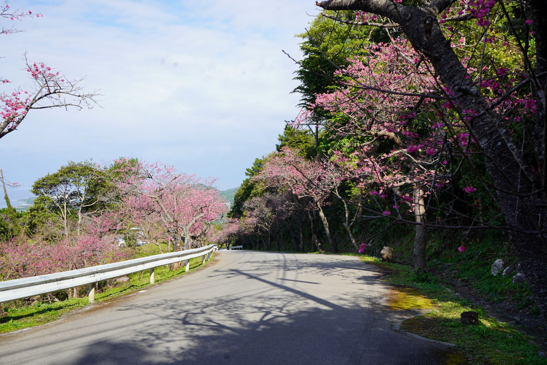 桜桃様　確認ページ e2f9e2dee83a35376a07ddcc03b78b